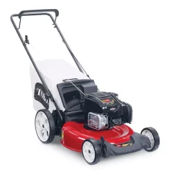 Lawn Mowers Toro Recycler 21 In. Briggs And Stratton High-Wheel Gas Walk Behind Push Mower